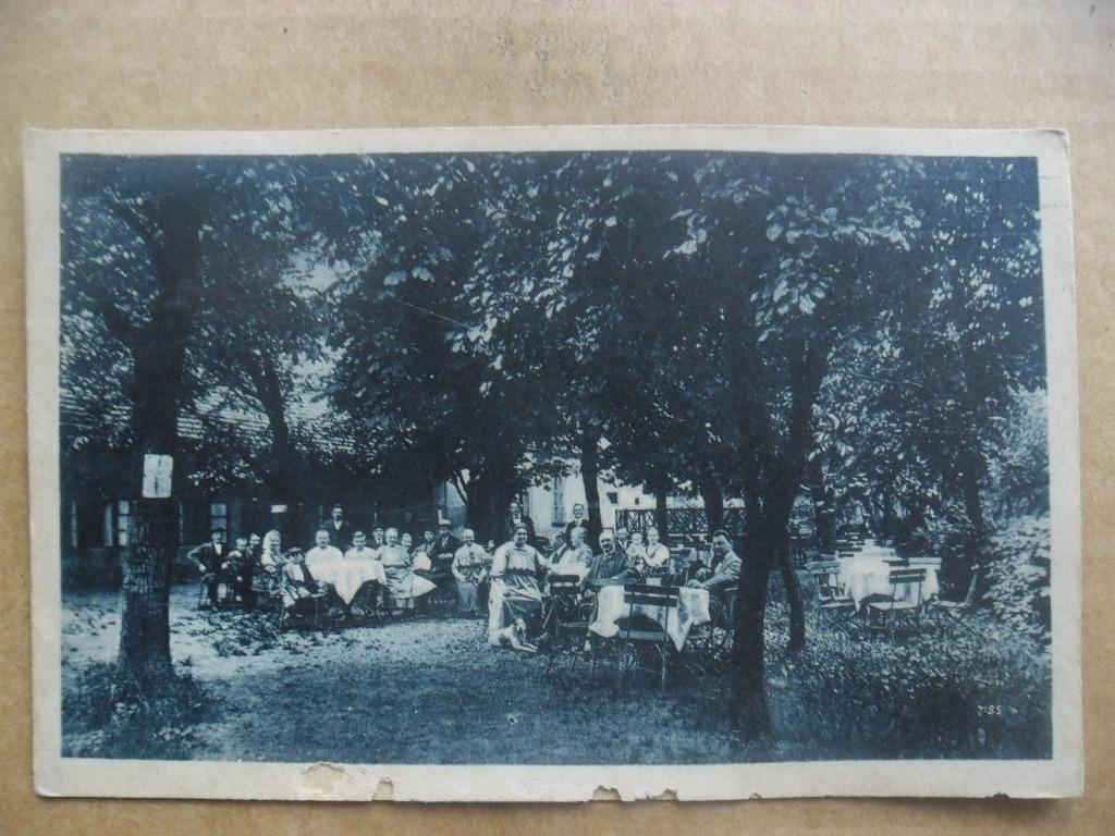 praha-dejvice-sarka-na-kaplance-poskoz-189073108