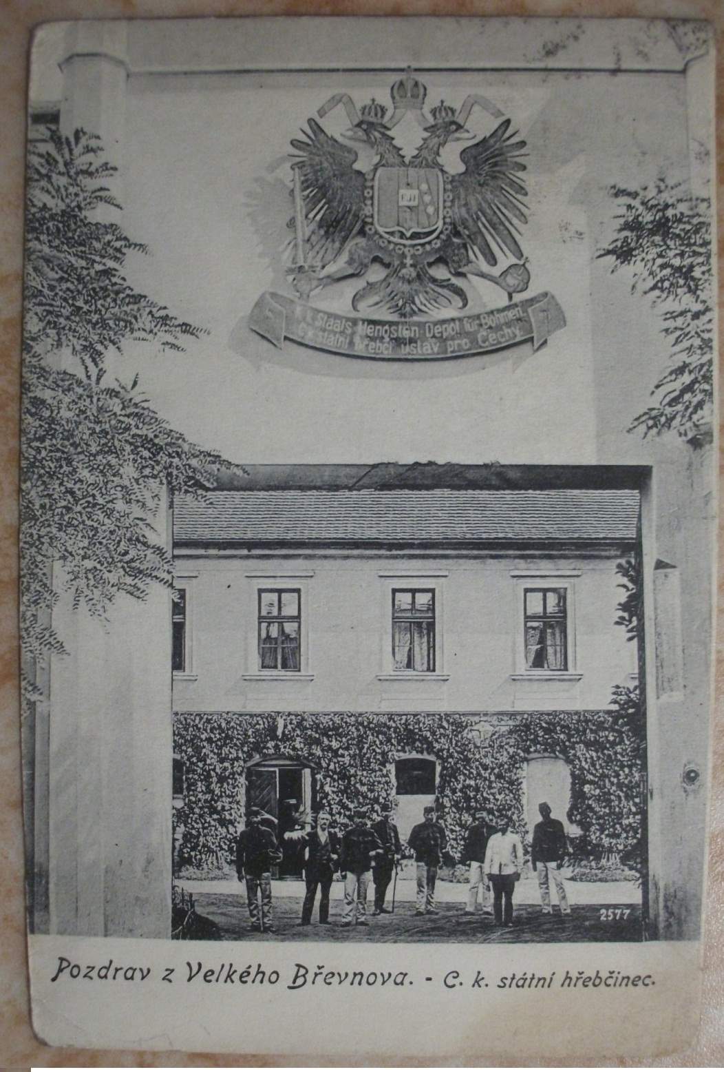 MINI8494kopie