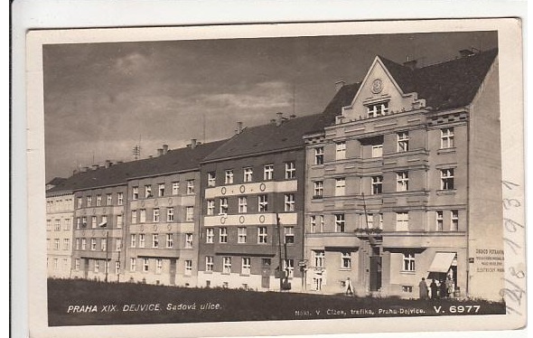 dejvice12345
