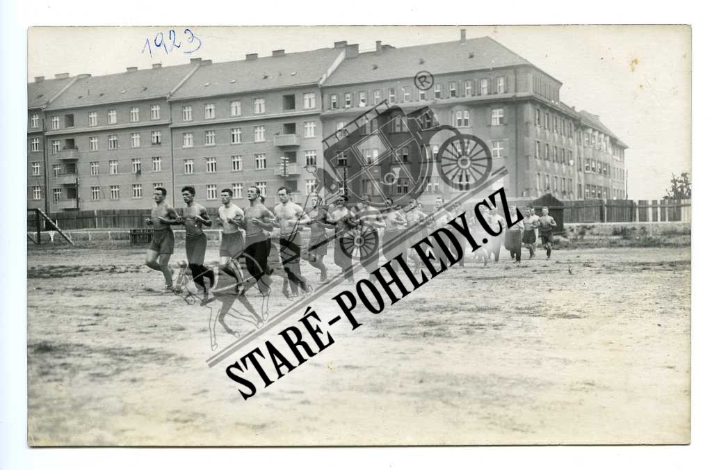 11933