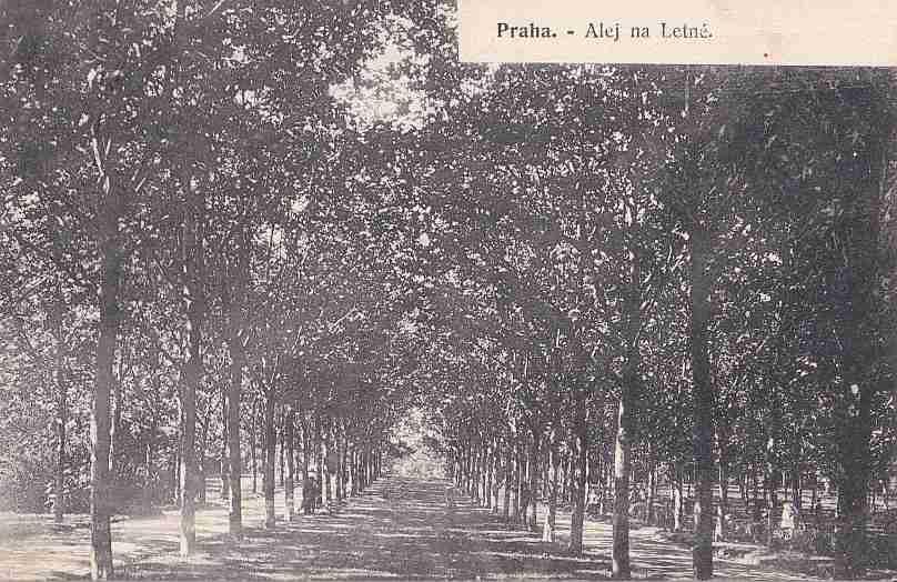 praha-alej-na-letne-249-sq55-92297119