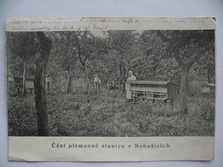 praha-nebusice-vokovice-vceliny-vcelarska-stanice-121186059